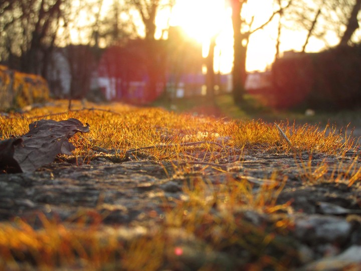macro