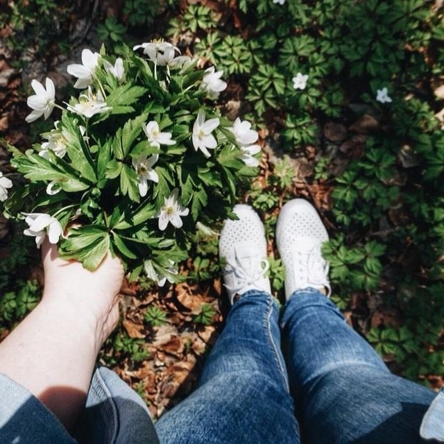 flowers