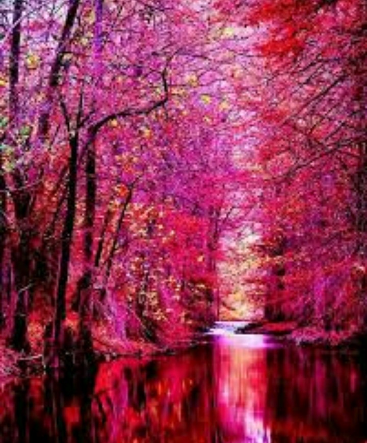 Pink is pretty