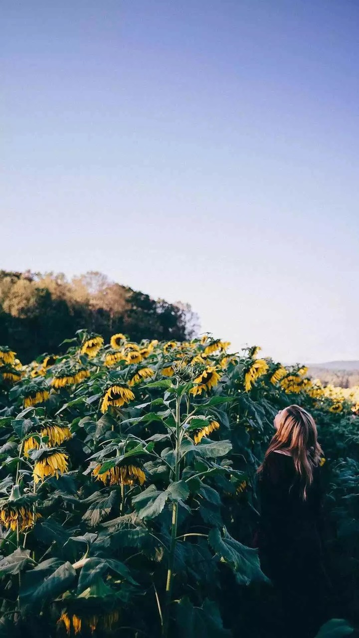 near the nature