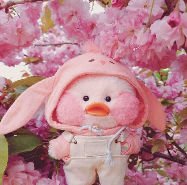 귀욤뽀짝 아기 오리