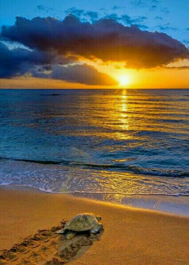 Sunset at sea