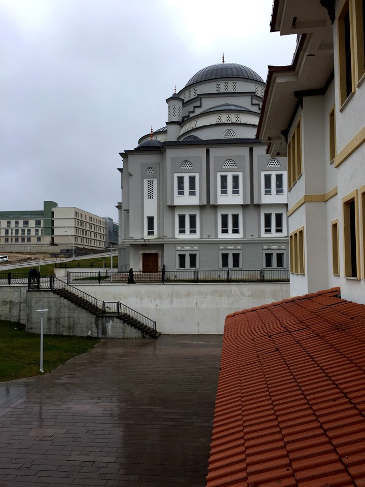 university