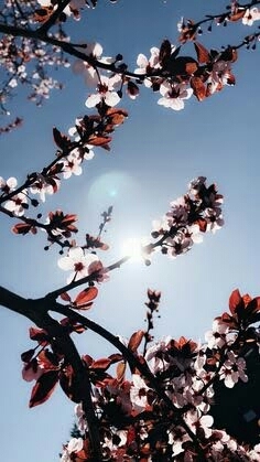 spring