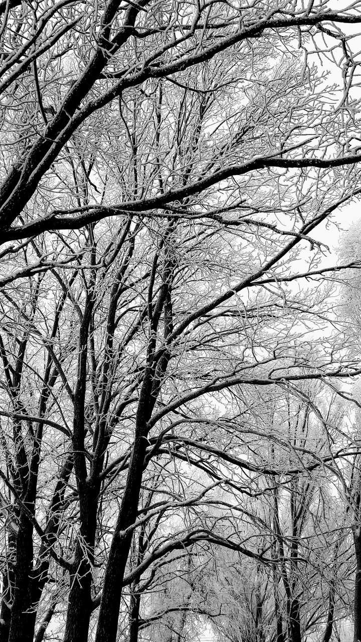 December
