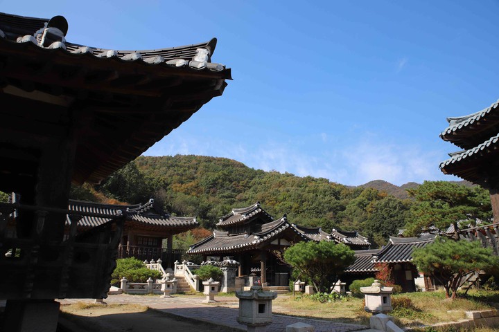 한국의 미