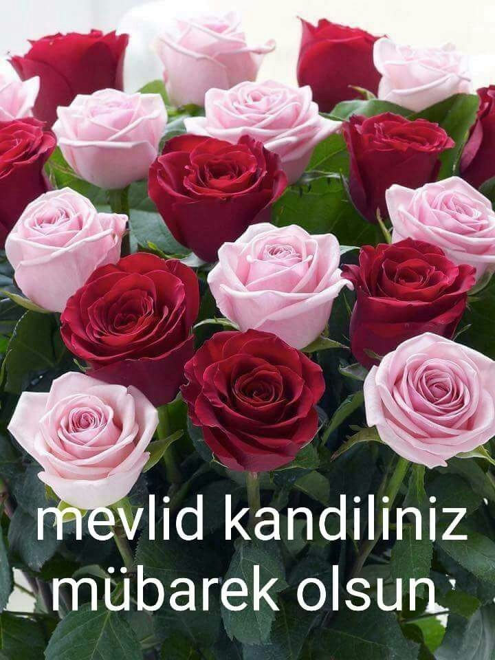 kandil
