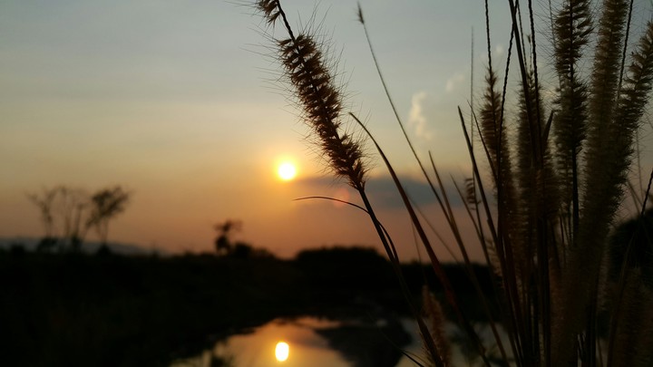 west of the sun