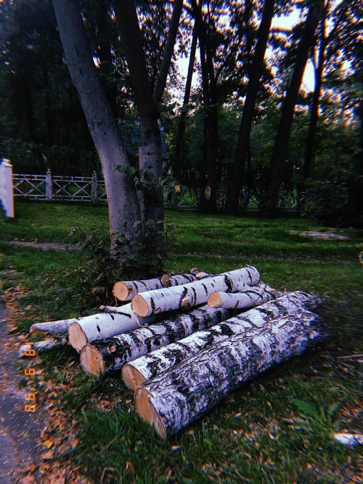 nature?