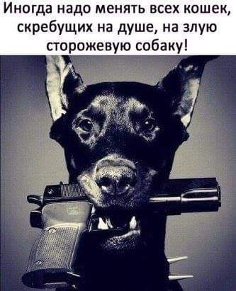 добер