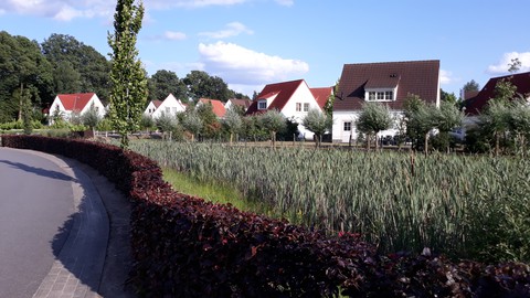 park