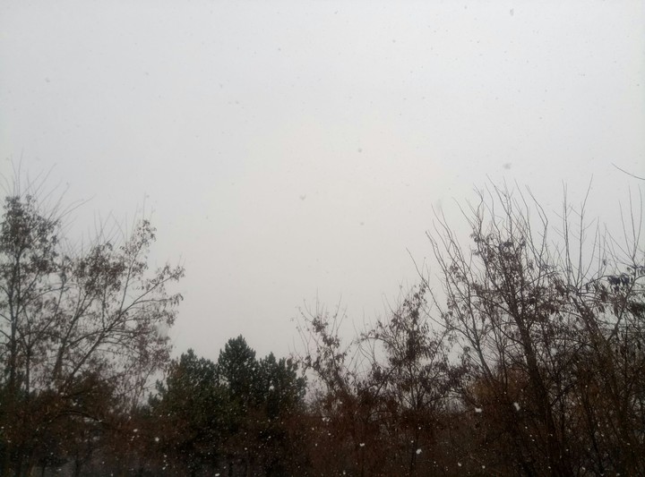 Снежное небо