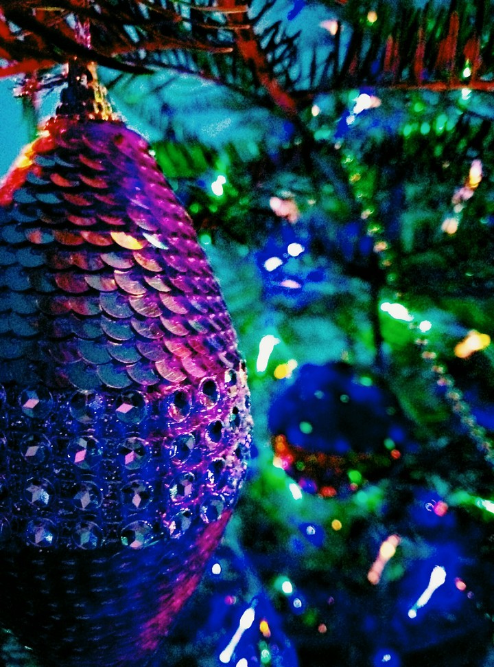 Xmas