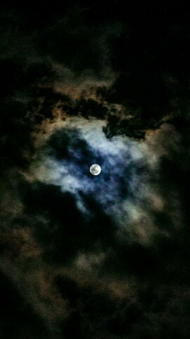 moonlight