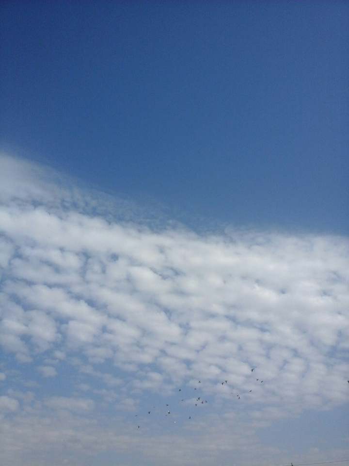 Sky Blue