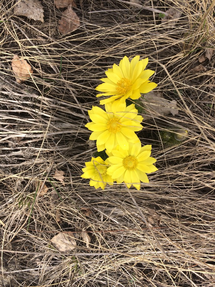 ?
