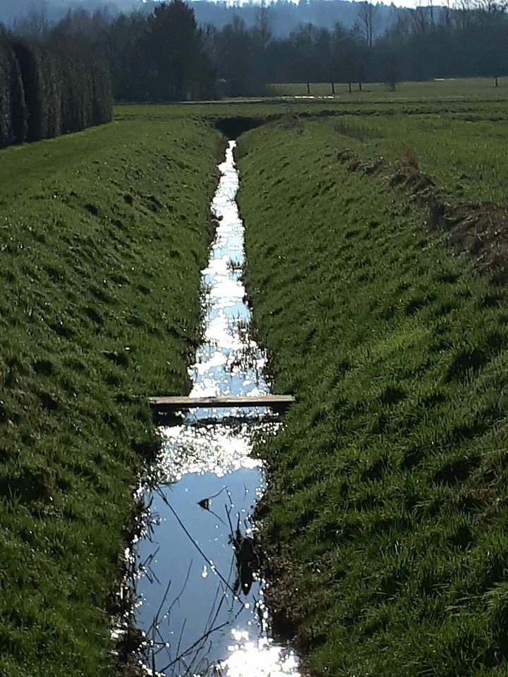 stream