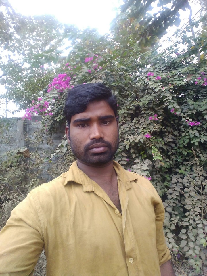 bhaja