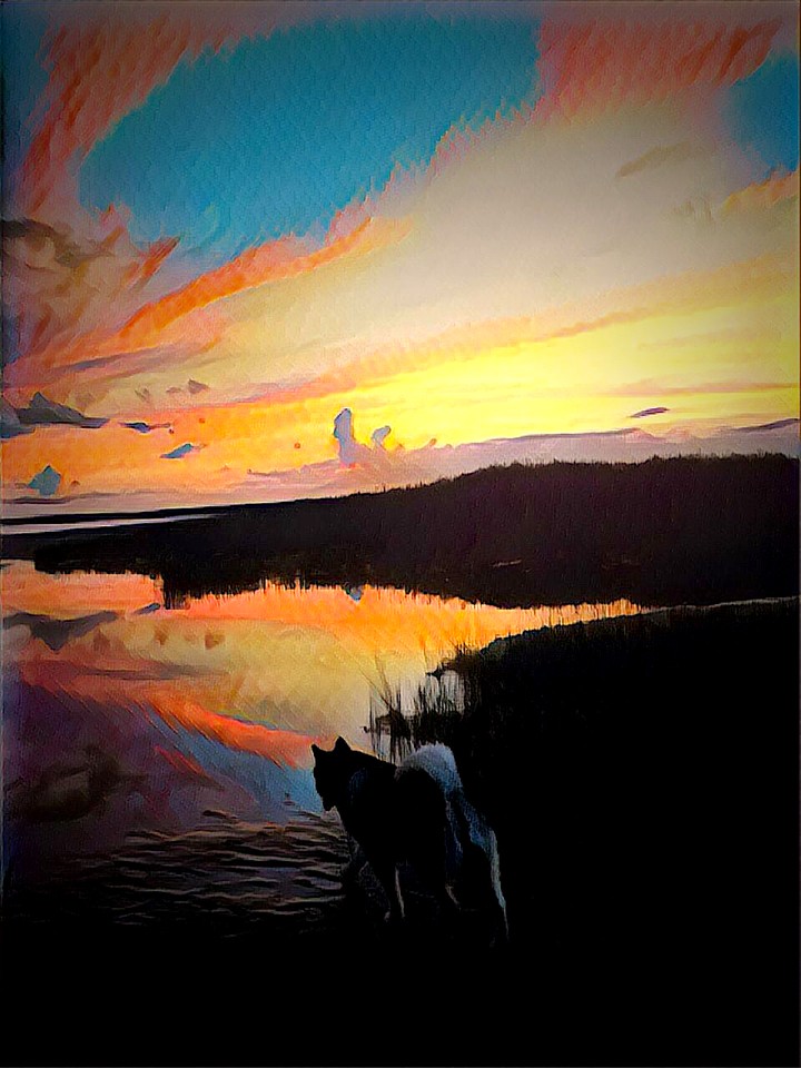 beach sunset