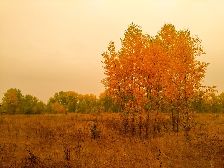 осінь