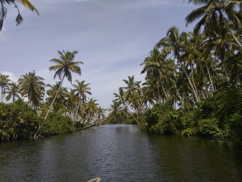 Backwater Kerala