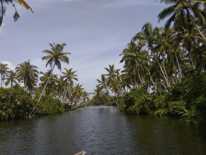 Backwater Kerala