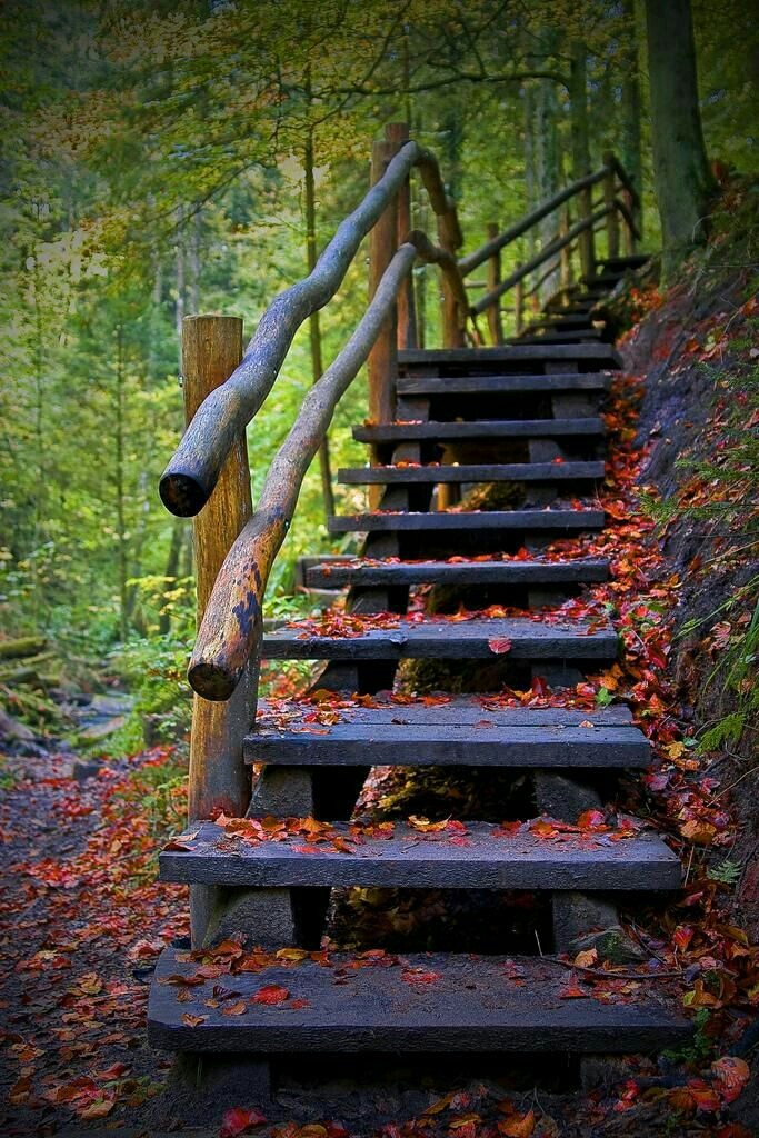 stair wallpaper