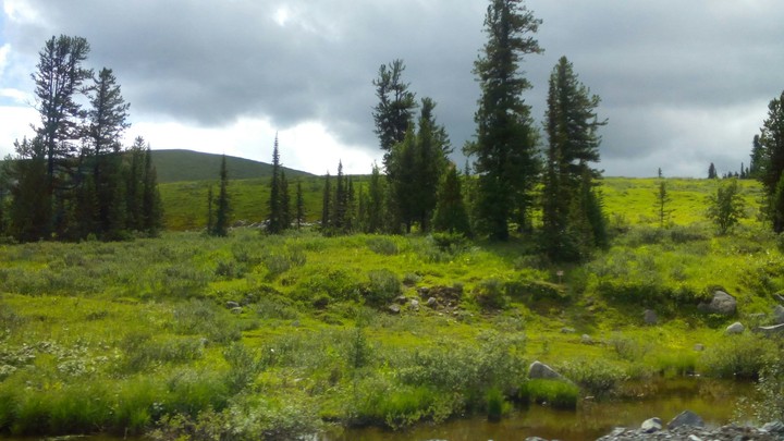 Forest river