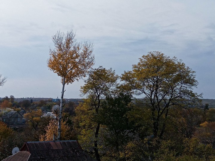 прошедшая осень