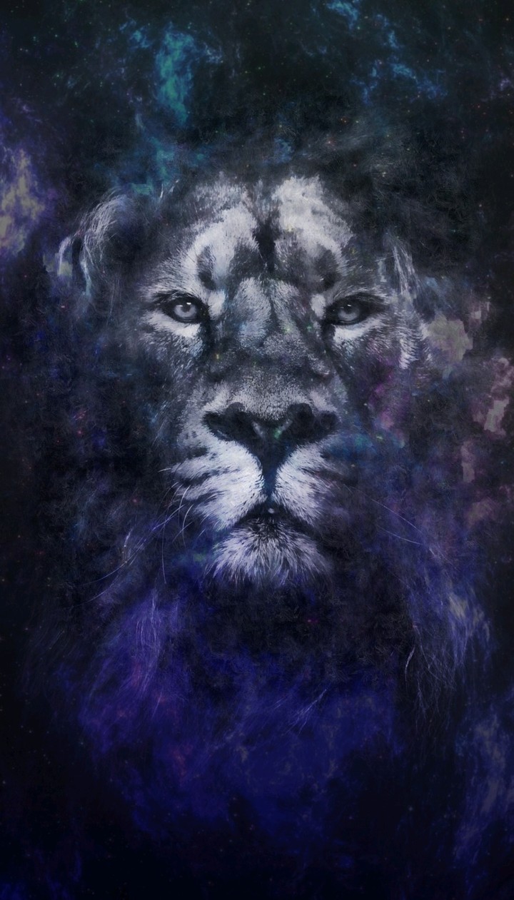 Space Lion