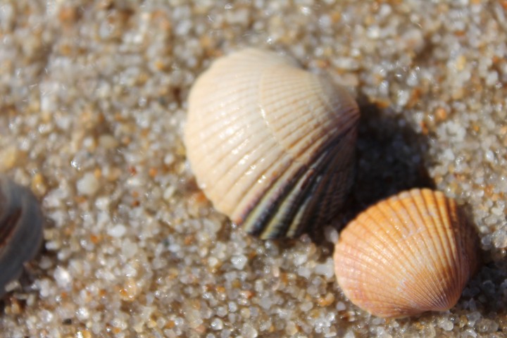 sand