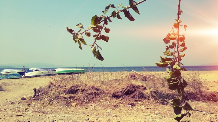 sun and sea