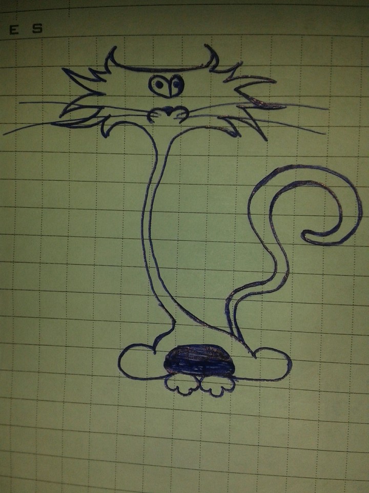 Cat on the cage
