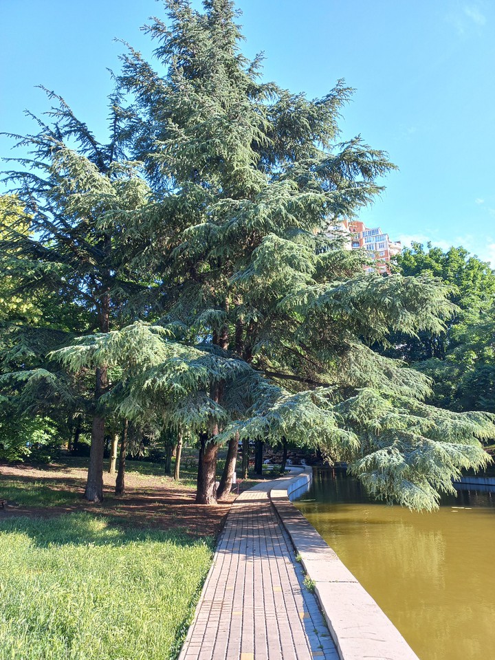 Victory park, Odessa