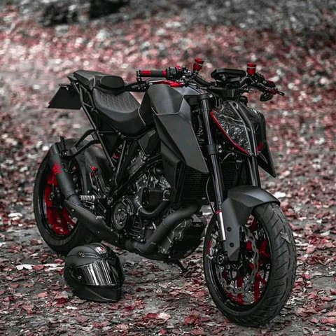 Rider