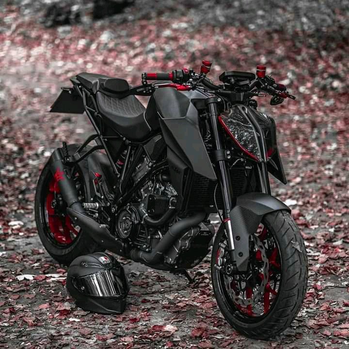 Rider