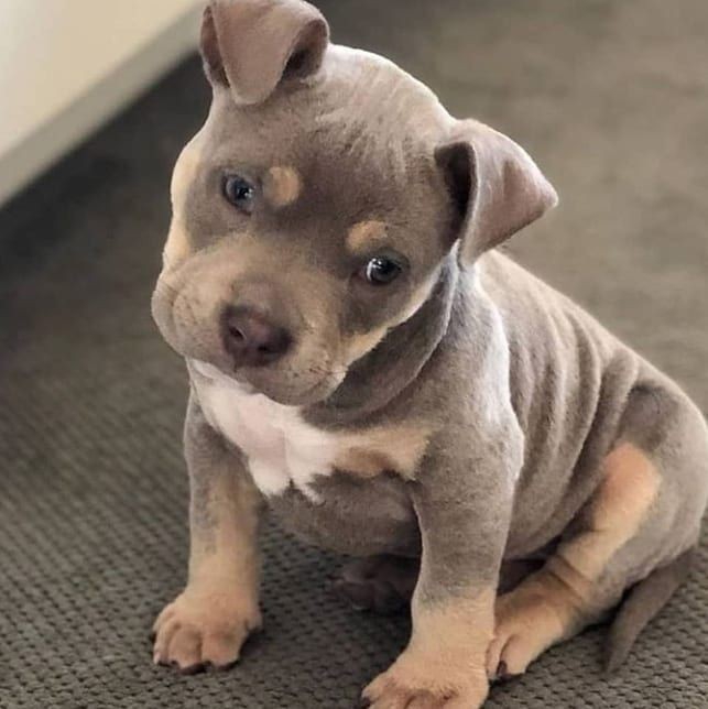 ♥️♥️♥️
