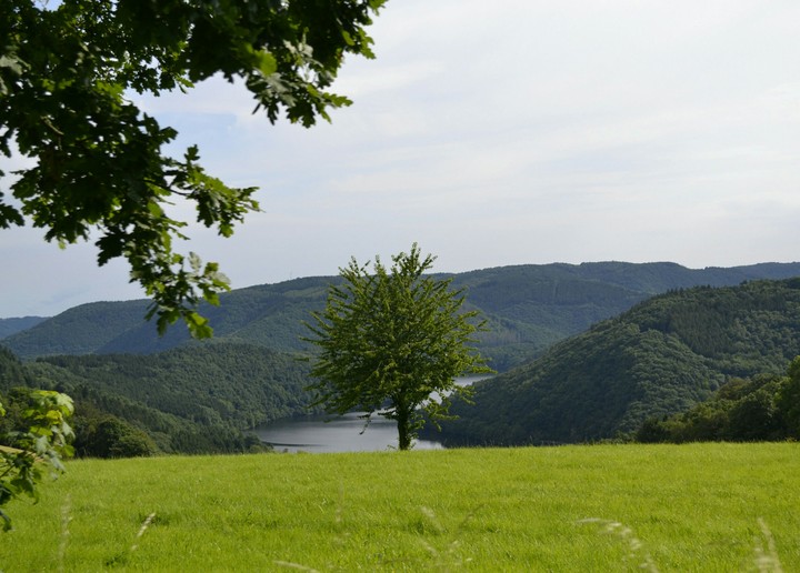 Black woods (Germany)