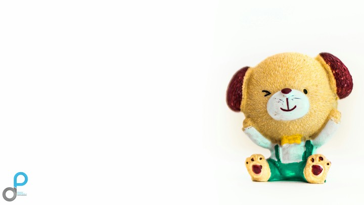 Toy