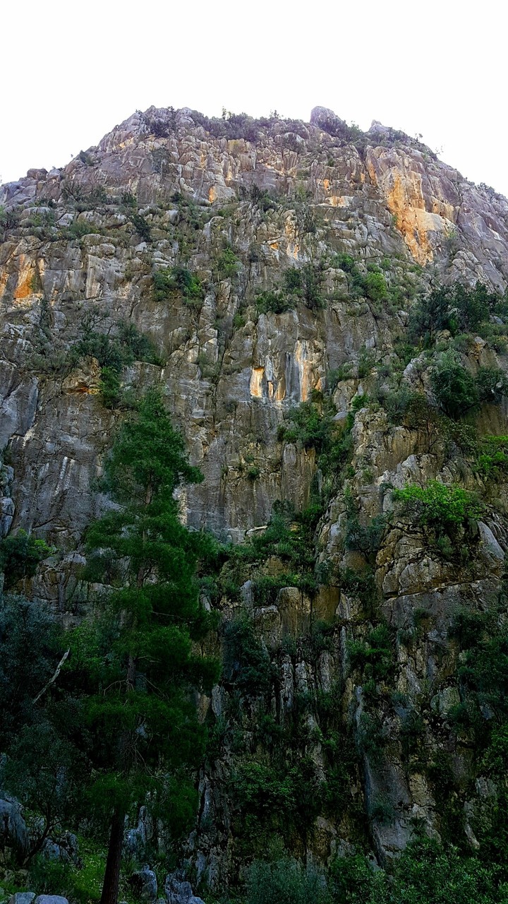 Çandır