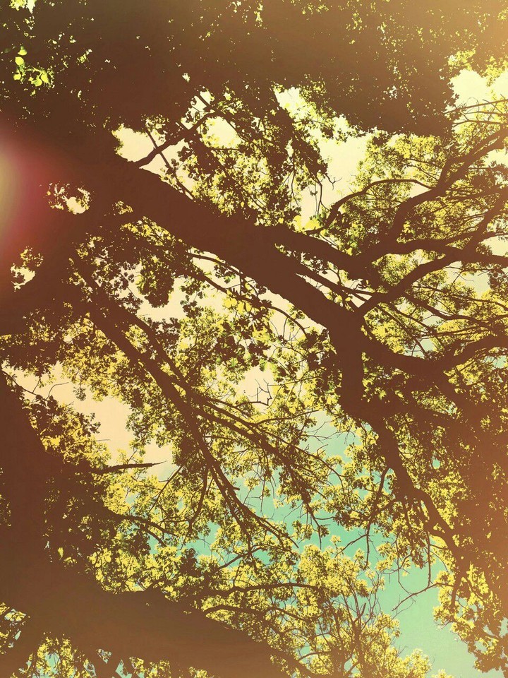 under a tree..