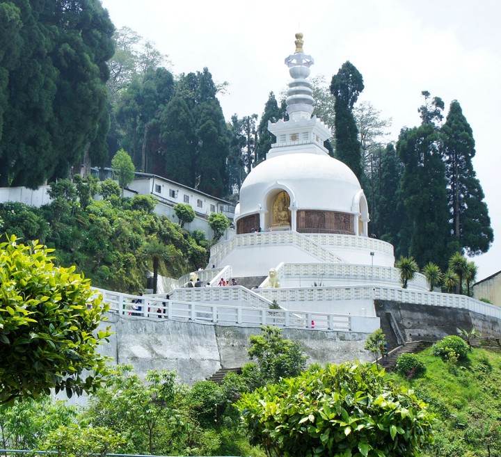 peace pagoda Darjeeling