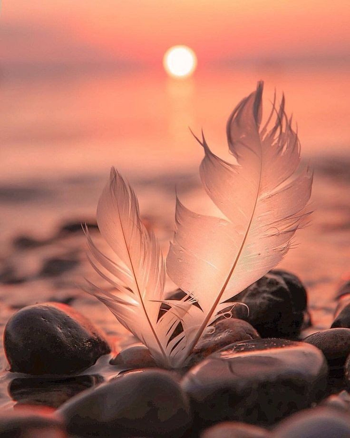 hd wallpaper