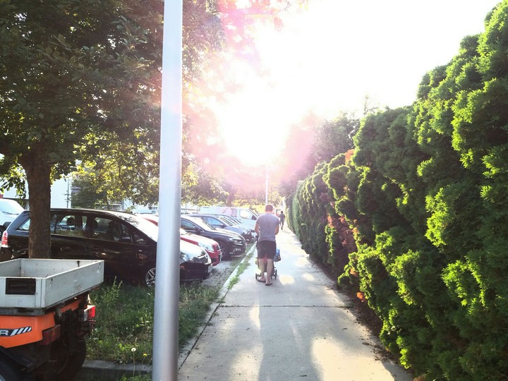 Sun