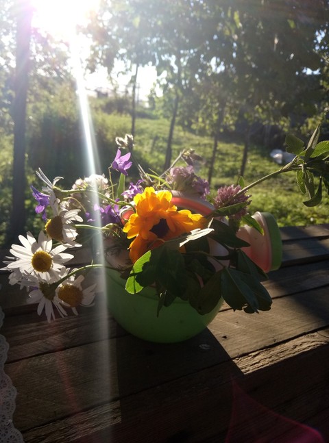 花盆, spring桌布