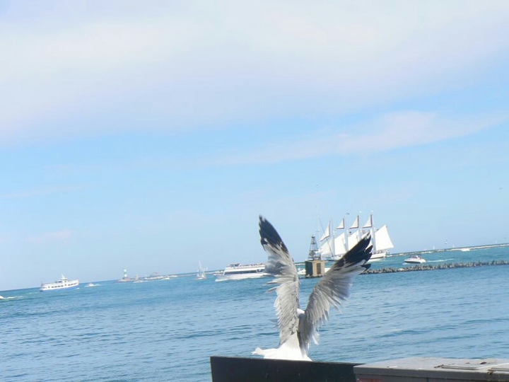 Flight