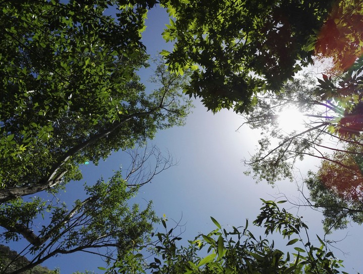 sky