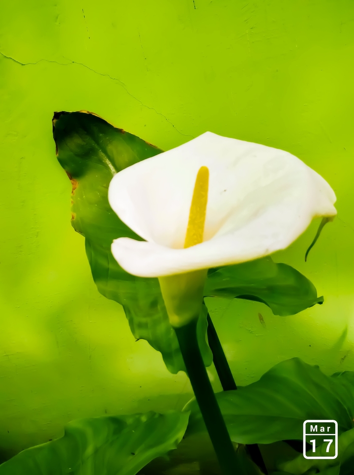 beauty comes from within..