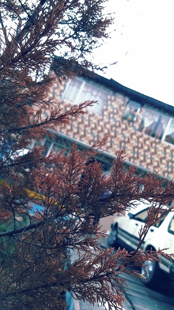 invierno