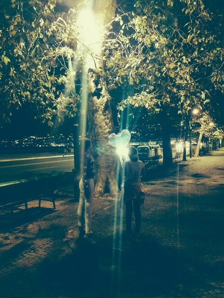 alberi e la loro magia